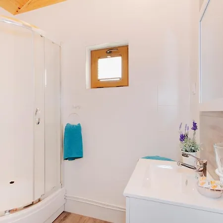 Dzika Roza * Darłowo